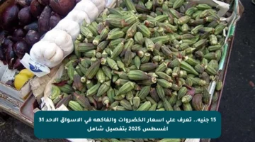 15 جنيه.. تعرف على أسعار الخضروات والفاكهة في الأسواق الأحد 31 أغسطس 2025 بتفصيل شامل